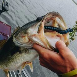 BioSpawn ExoRibbon -Soft Baits Verkäufe 02 23 22 chad smith exoribbon14