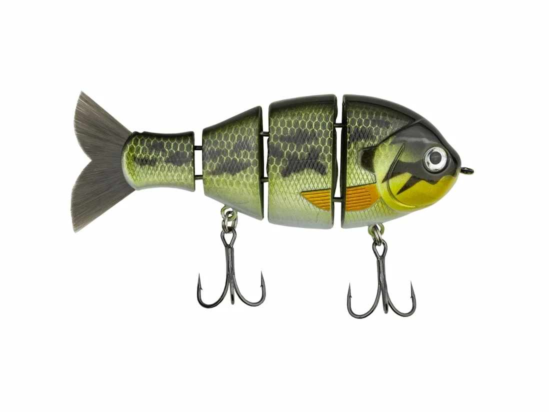 Catch Co. Mike Bucca's Baby Bull Gill 3 Catch Co. Mike Bucca's Baby Bull Gill