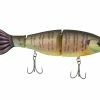Googan Squad Contender 2 Googan Squad Contender -Soft Baits Verkäufe 10 01 ggs 10016d 1