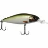 Lucky John Shad X 2 Lucky John Shad X -Soft Baits Verkäufe 10 01 lcj 10063g base 1 scaled
