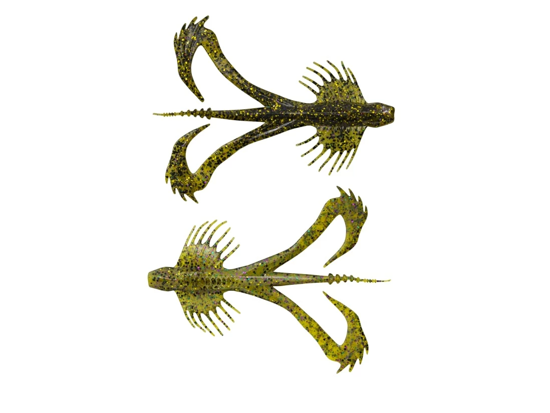 10,000 Fish Zuchi Bug 3 10,000 Fish Zuchi Bug