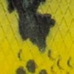 Catch Co. Mike Bucca Baby Bull Shad -Soft Baits Verkäufe bumblebeeswatch