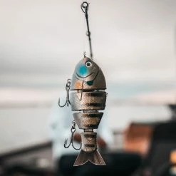 Catch Co. Mike Bucca's Baby Bull Gill 14 Catch Co. Mike Bucca's Baby Bull Gill -Soft Baits Verkäufe by rob matsuura 26 1