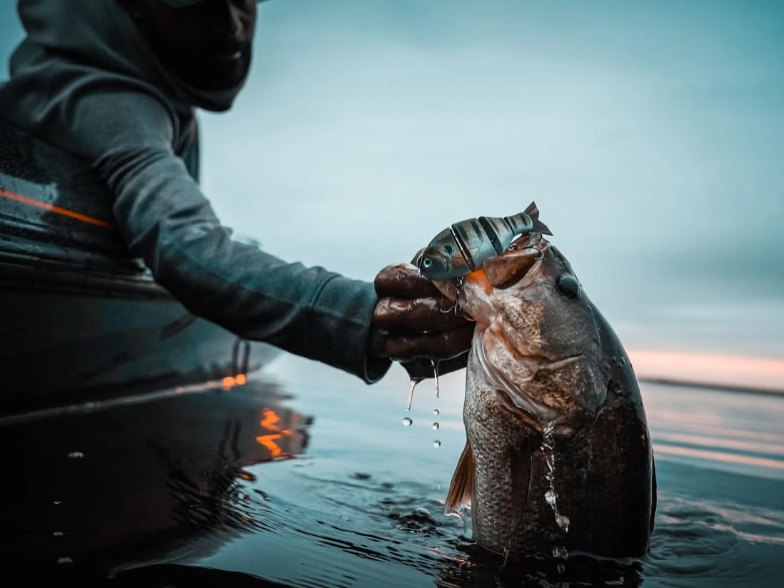 Catch Co. Mike Bucca's Baby Bull Gill 9 Catch Co. Mike Bucca's Baby Bull Gill – Bild 7