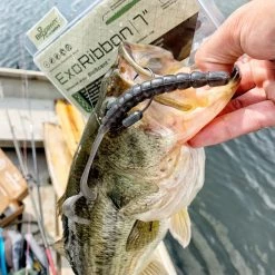 BioSpawn ExoRibbon -Soft Baits Verkäufe exoribbon package fish 1