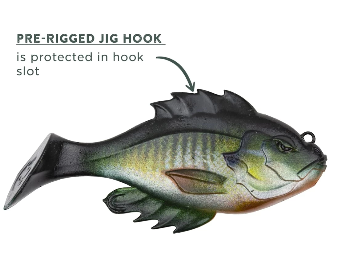 10,000 Fish Head Hunter 7 10,000 Fish Head Hunter – Bild 5