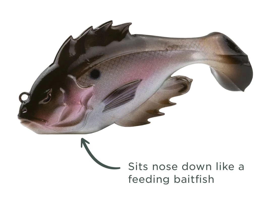 10,000 Fish Head Hunter 5 10,000 Fish Head Hunter – Bild 3