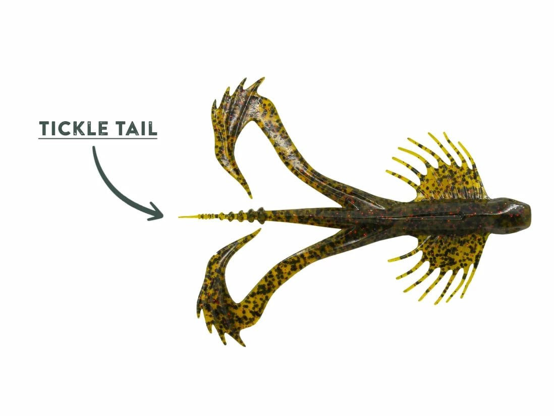 10,000 Fish Zuchi Bug 5 10,000 Fish Zuchi Bug – Bild 3