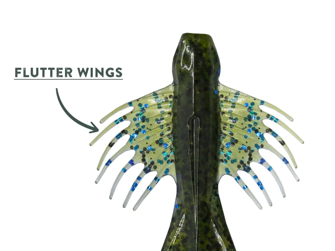 10,000 Fish Zuchi Bug 4 10,000 Fish Zuchi Bug – Bild 2