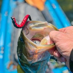 BioSpawn ExoRibbon -Soft Baits Verkäufe fullsizerender