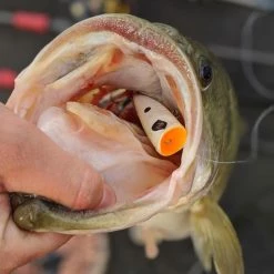 Googan Squad Blooper -Soft Baits Verkäufe img 7405