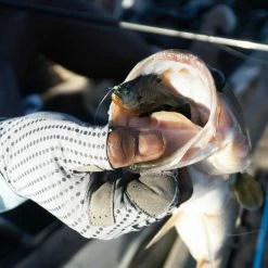 10,000 Fish Head Hunter 19 10,000 Fish Head Hunter -Soft Baits Verkäufe influencer headhunter images 01