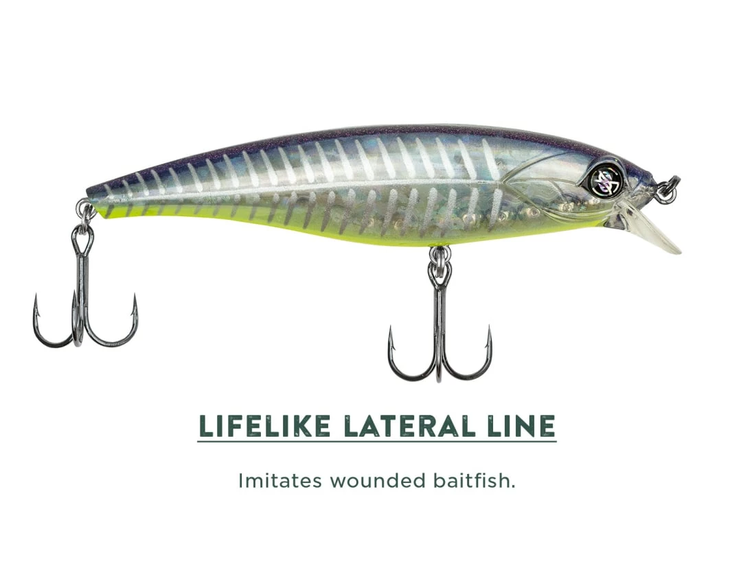 Googan Squad Jr. Scout 9 Googan Squad Jr. Scout – Bild 7