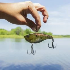 Soft Baits Verkäufe -Soft Baits Verkäufe lifestyle 050121 04