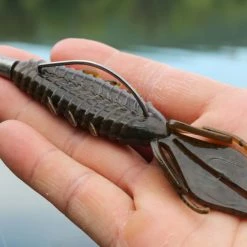 X Zone Lures Pro Series Adrenaline Bug -Soft Baits Verkäufe lifestyle adrenaline andrewnordbye 01