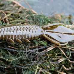 Soft Baits Verkäufe -Soft Baits Verkäufe lifestyle adrenaline andrewnordbye 02