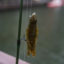 BioSpawn VileTube -Soft Baits Verkäufe lifestyle biospawn viletube 02