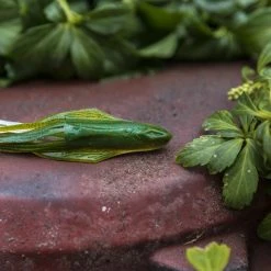 BioSpawn VileTube -Soft Baits Verkäufe lifestyle biospawn viletube 05