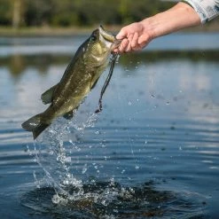 Googan Baits Blazin' Worm 8 Googan Baits Blazin' Worm -Soft Baits Verkäufe lifestyle blazinworm googanbaits bt6a4961