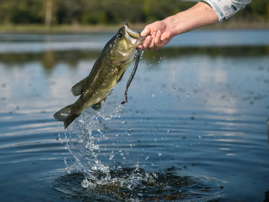 Googan Baits Blazin' Worm 5 Googan Baits Blazin' Worm – Bild 3