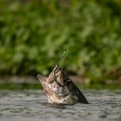 Googan Baits Green Series Weight Stops -Soft Baits Verkäufe lifestyle googanbaitsterminal stoppers fish 01