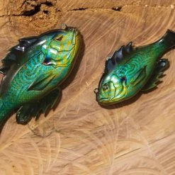 10,000 Fish Head Hunter 22 10,000 Fish Head Hunter -Soft Baits Verkäufe lifestyle headhunter 2b