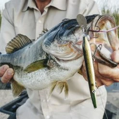 Z-Man Hellraizer -Soft Baits Verkäufe lifestyle hellraizer zman fishmouth 1