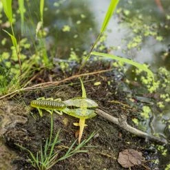 Karl's Amazing Baits Kicker Craw -Soft Baits Verkäufe lifestyle kickercraws kab pond 9
