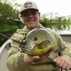 Z-Man Larvaz -Soft Baits Verkäufe lifestyle larvaz zman fishingshot 1