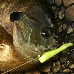 Z-Man Tiny Ticklerz 14 Z-Man Tiny Ticklerz -Soft Baits Verkäufe lifestyle tinyticklerz zman closefish 1