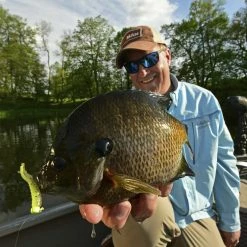 Z-Man Tiny Ticklerz 15 Z-Man Tiny Ticklerz -Soft Baits Verkäufe lifestyle tinyticklerz zman fishhand 1