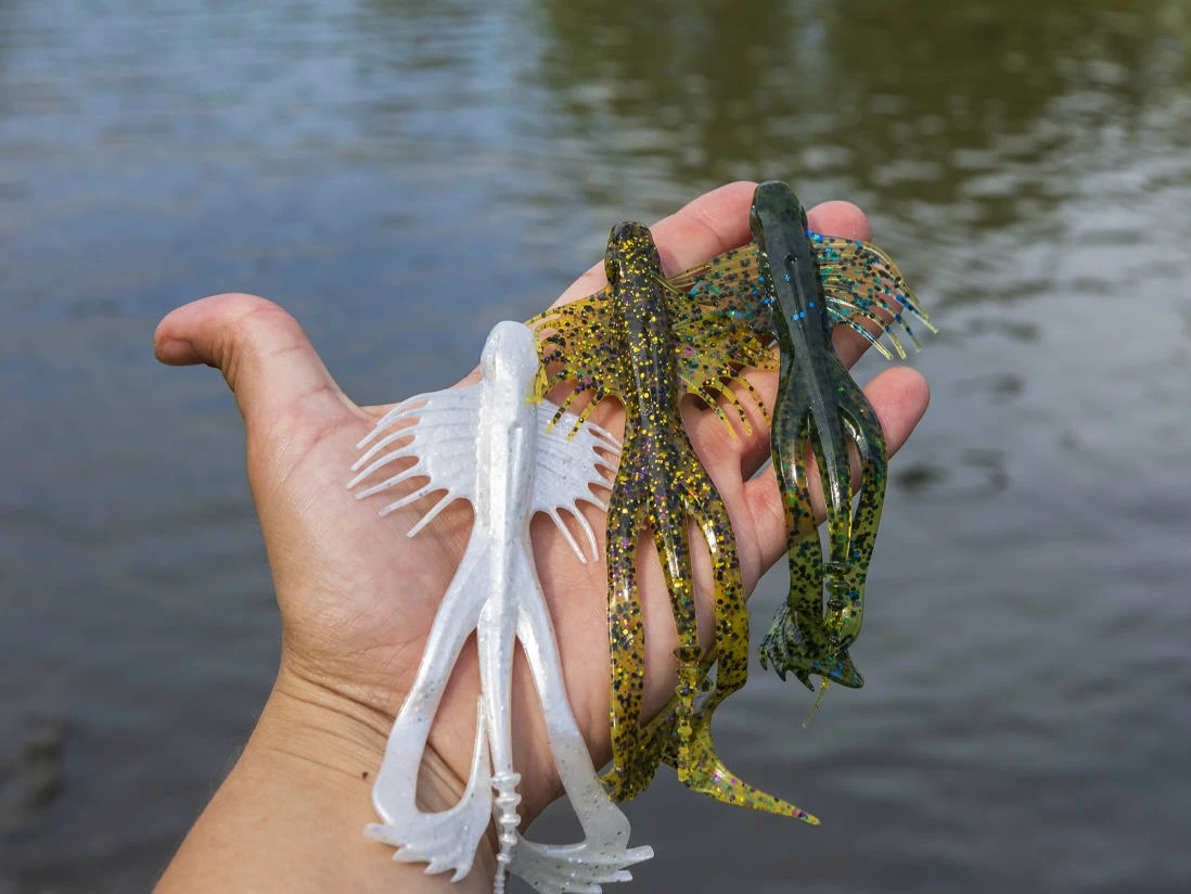 10,000 Fish Zuchi Bug 6 10,000 Fish Zuchi Bug – Bild 4