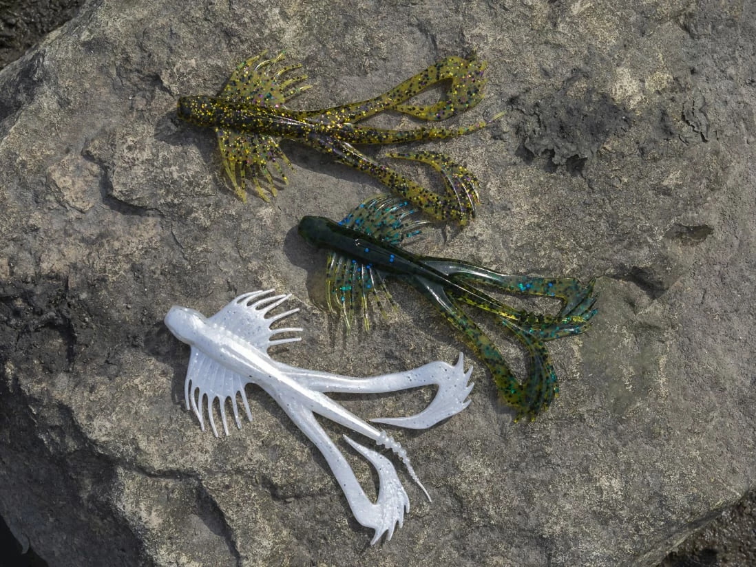 10,000 Fish Zuchi Bug 8 10,000 Fish Zuchi Bug – Bild 6