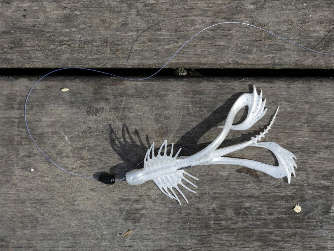 10,000 Fish Zuchi Bug 7 10,000 Fish Zuchi Bug – Bild 5