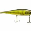 Musky Innovations Swimmin' Dawg 2 Musky Innovations Swimmin' Dawg -Soft Baits Verkäufe muskyinnovations perch swimmindawg 10 35 mky 10000a 1