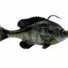 Savage Gear Pulse Tail RTF Bluegill -Soft Baits Verkäufe pulsetail rtf bluegill ghostgill 1