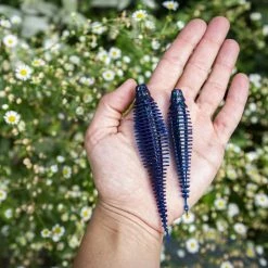 10,000 Fish Yoto Worm -Soft Baits Verkäufe scale yotoworm 04karlscopy