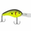 Strike King Pro-Model 5XD -Soft Baits Verkäufe strikeking blackbackchartreuse promodel5dx 10 01 stk 10008e 1