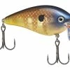 Strike King KVD 2.5 Wake Bait 1 Strike King KVD 2.5 Wake Bait -Soft Baits Verkäufe strikeking bluegill kvdwakebait 10 01 stk 10015a 1
