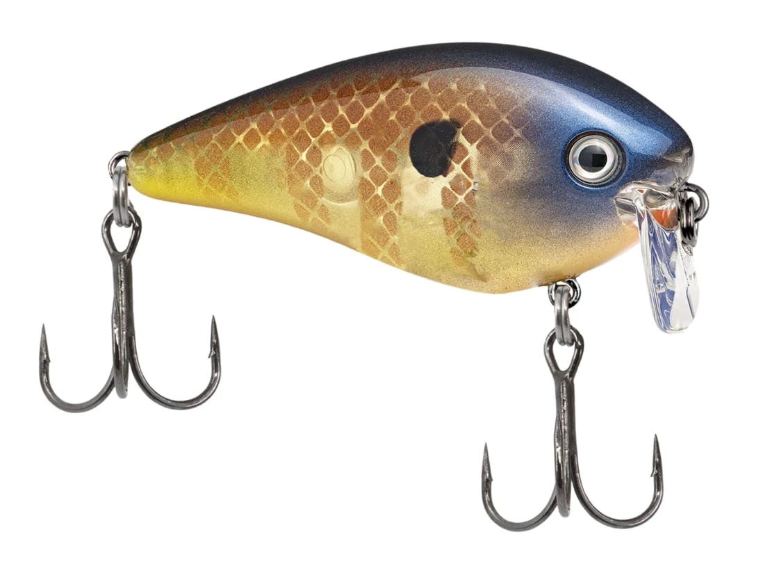 Strike King KVD 2.5 Wake Bait 3 Strike King KVD 2.5 Wake Bait