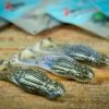Z-Man Goat ToadZ -Soft Baits Verkäufe zmanlifestyles 1845